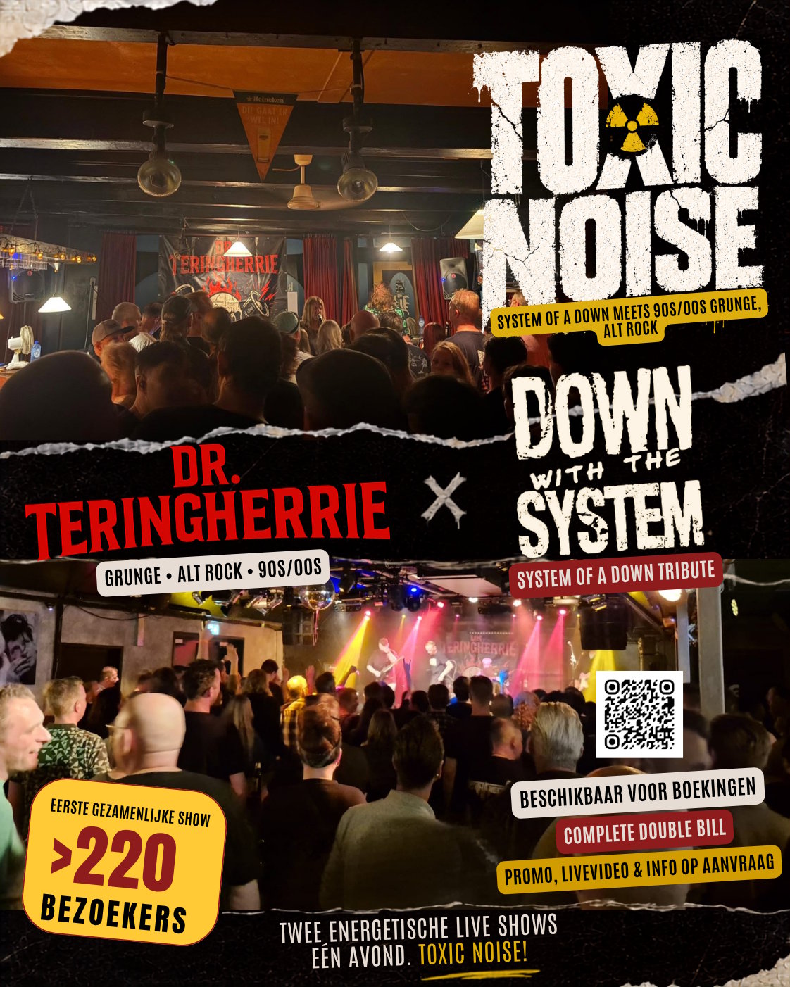 Toxic Noise bookingsposter: Down With The System en Dr. Teringherrie